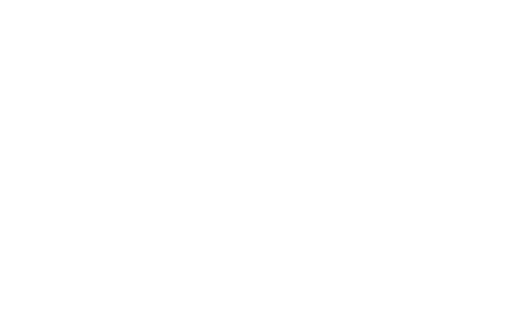 wn plumbing & maintenance services logo upscaled white